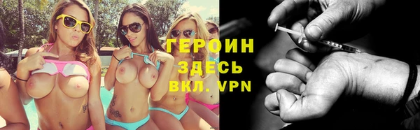 сатива Надым