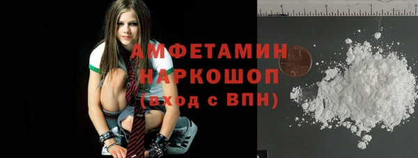 сатива Надым