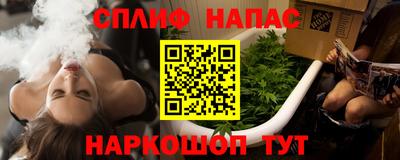 шишки Изобильный