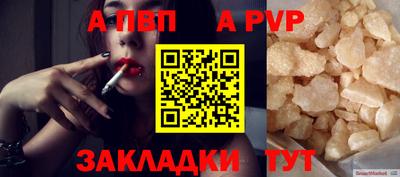 шишки Изобильный