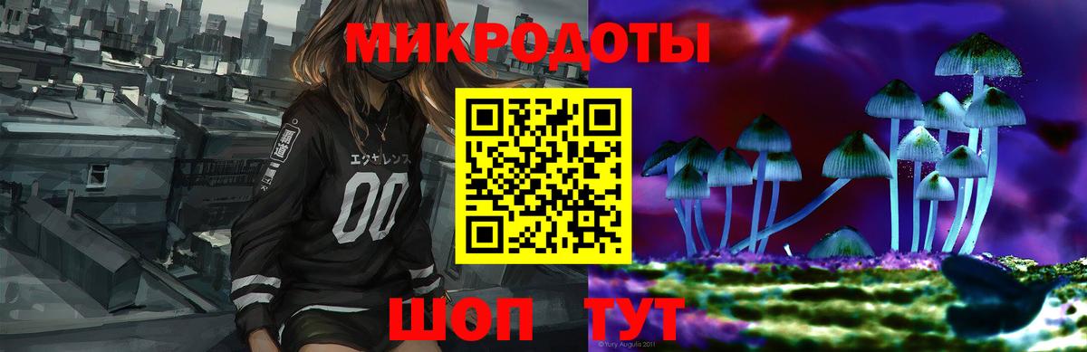 Шатура  Галлюциногенные грибы прущие грибы  Вход с VPN 